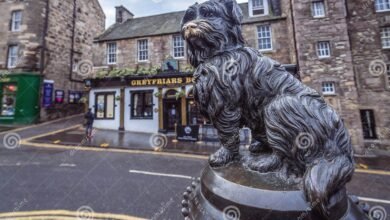 greyfriars bobby statue removed