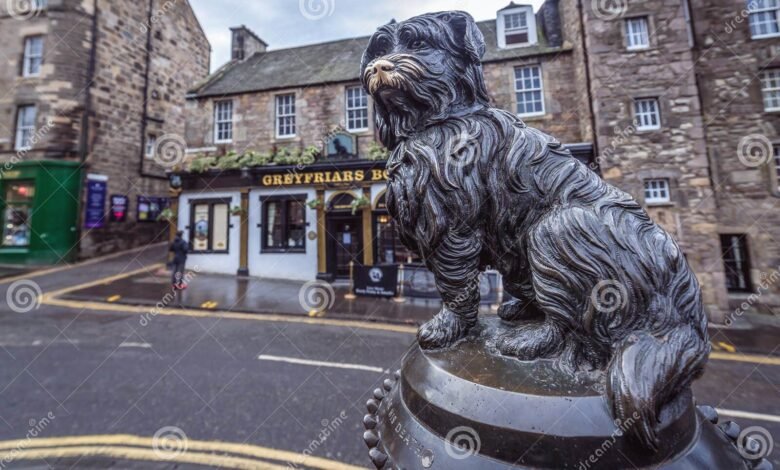 greyfriars bobby statue removed