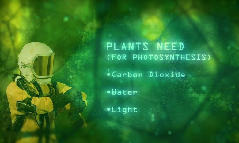 BBC Bitesize KS3 Photosynthesis