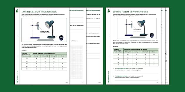 ks3 photosynthesis worksheet
