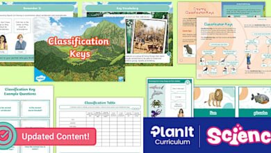 Classification Keys Year 4
