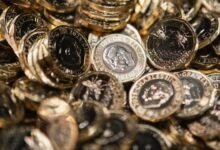 Rare Queen Elizabeth II 1 Coins