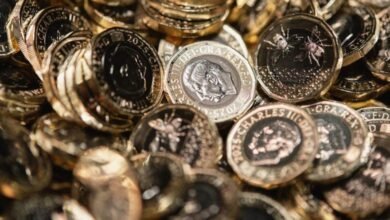 Rare Queen Elizabeth II 1 Coins