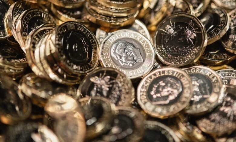 Rare Queen Elizabeth II 1 Coins