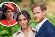 Prince Harry Latest News