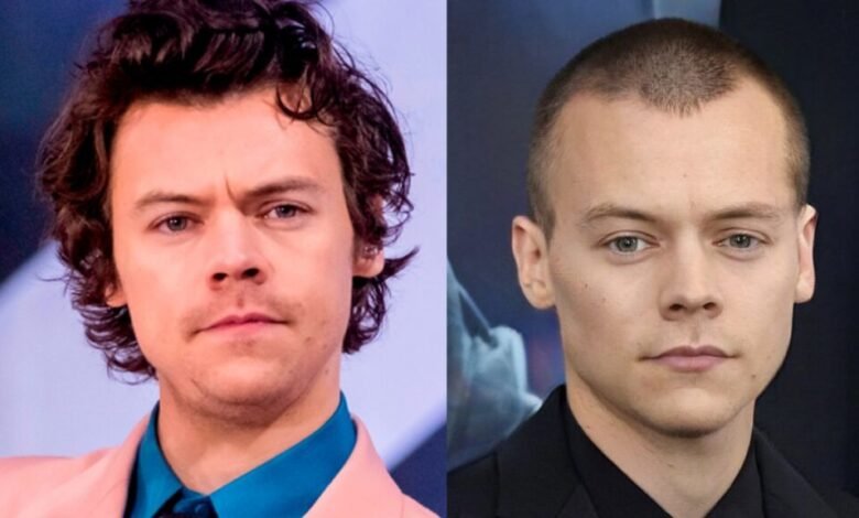 Harry Styles Buzz Cut