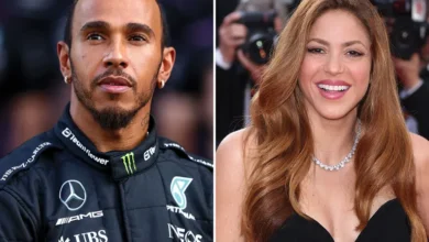 Lewis Hamilton Girlfriend