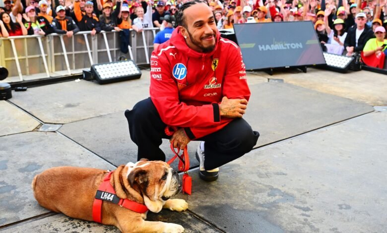 Lewis Hamilton Dog