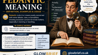 Pedantic Meaning