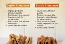 Cinnamon Flavoured Product